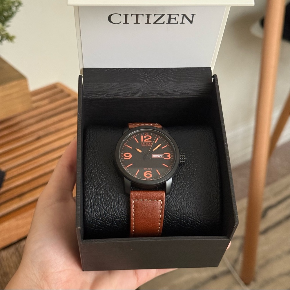 Citizen Men's Black and Brown Watch